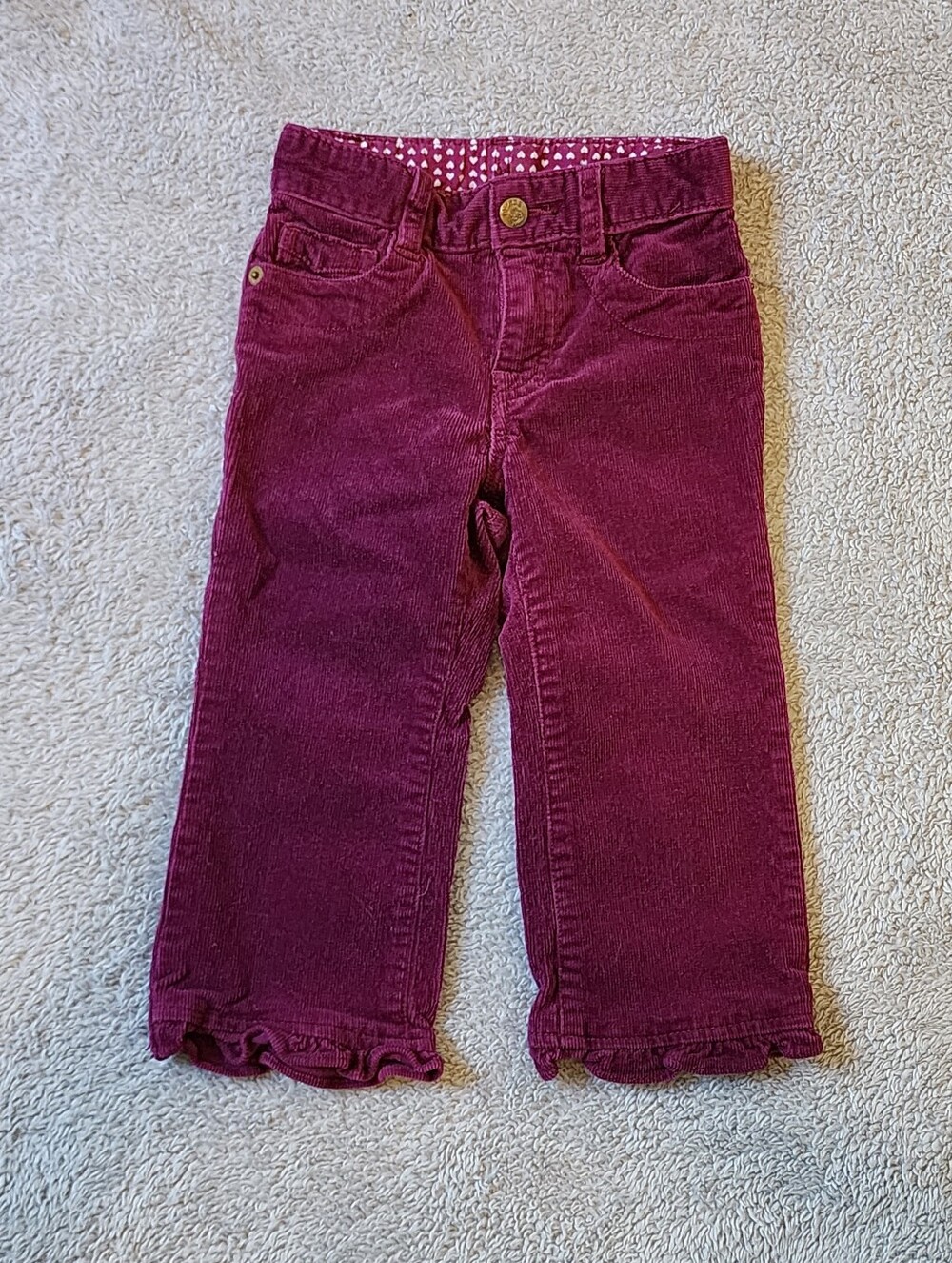 24mo The Childrens Place Pants